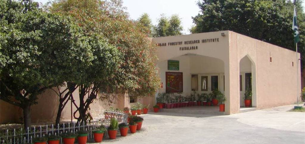 Punjab Forestry Research Institute, Faislabad
